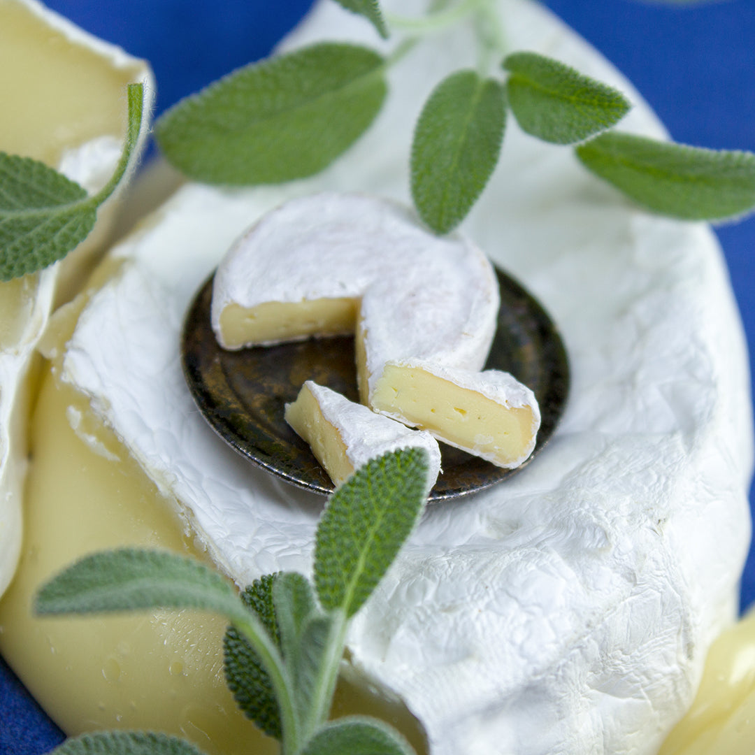 TUTORIAL Miniature Camembert cheese with polymer clay | PDF + video