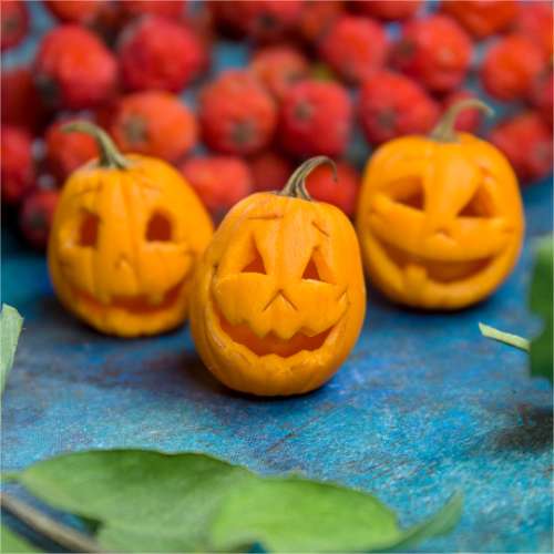 TUTORIAL Miniature Halloween pumpkins with polymer clay | PDF + video