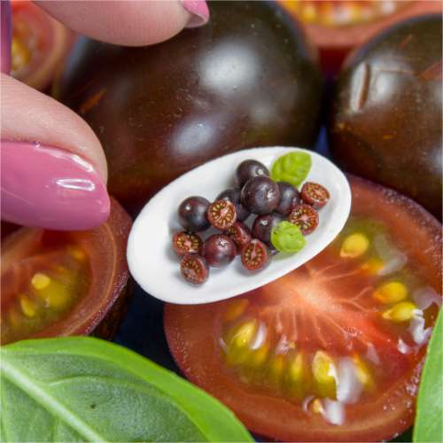 TUTORIAL Miniature chocolate cherry tomato cane with polymer clay | PDF + video