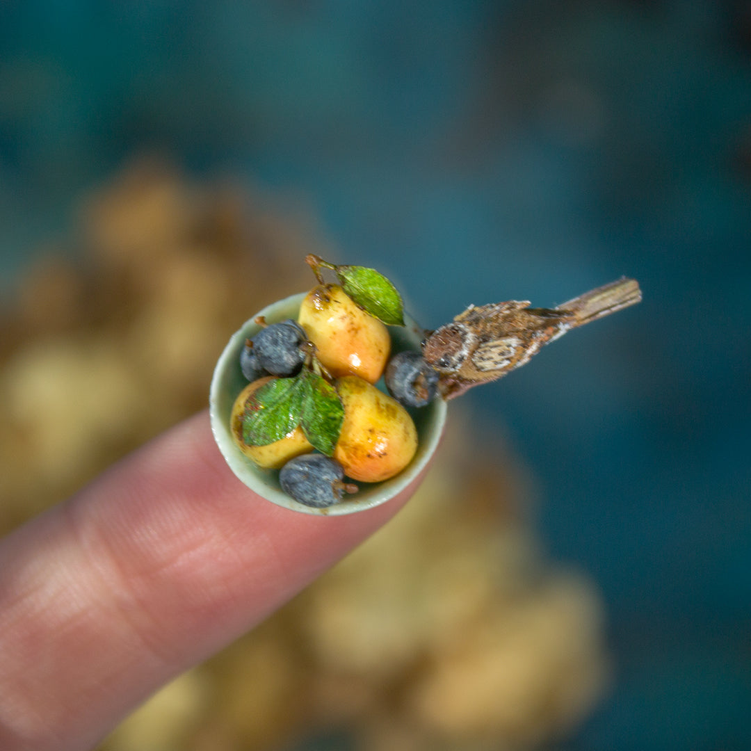 Miniature sparrow on a bowl of fruit for dollhouse in 1:12 scale - Rina Vellichor