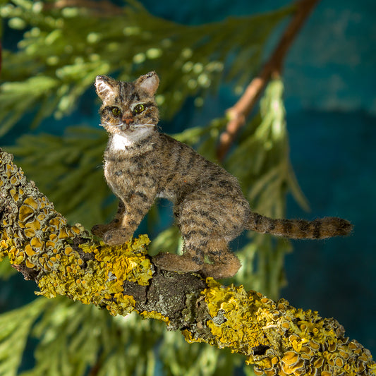 Miniature tabby cat 1:12 scale big - Rina Vellichor