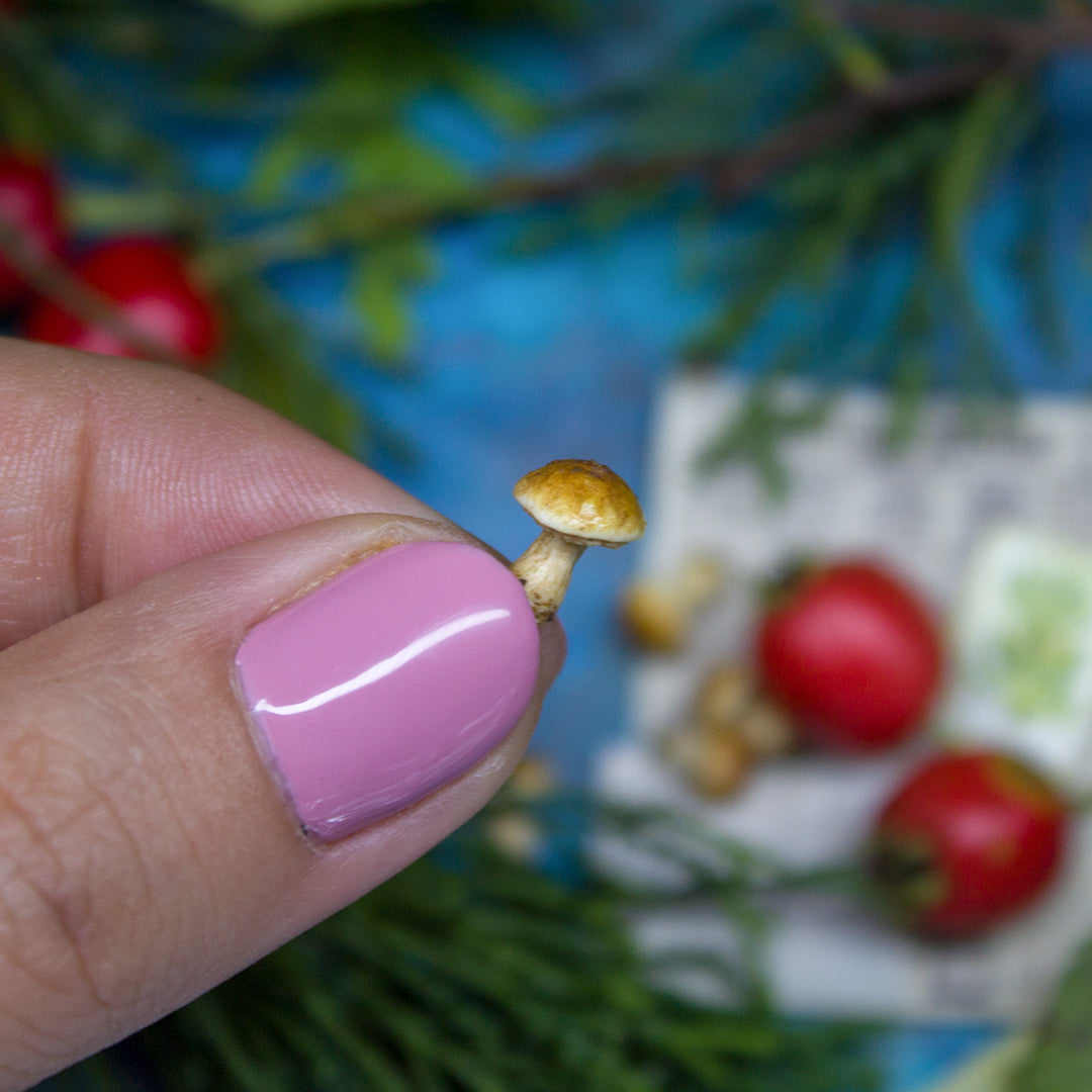 TUTORIAL Miniature porcini mushroom with polymer clay | PDF + video