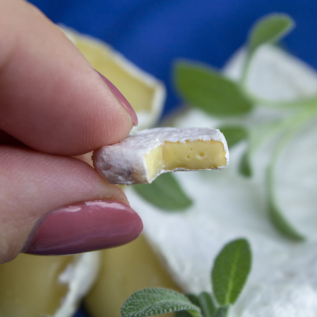 TUTORIAL Miniature Camembert cheese with polymer clay | PDF + video
