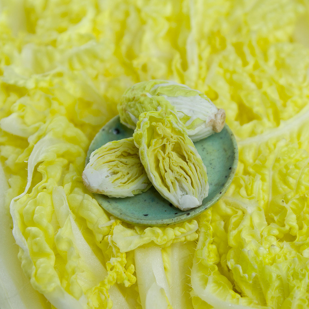 TUTORIAL Miniature napa cabbage with air dry clay | PDF + video