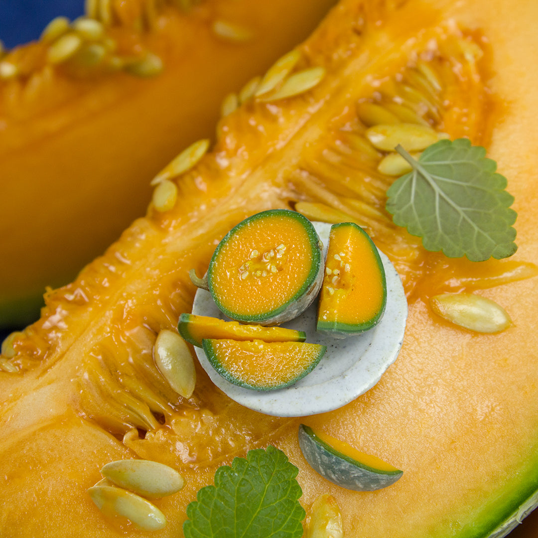 TUTORIAL Miniature cantaloupe with polymer clay | PDF + video