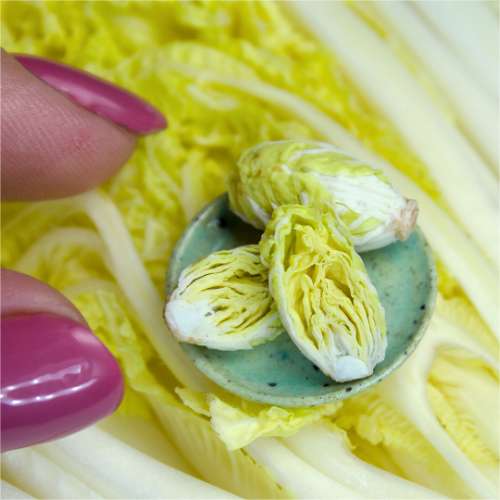 TUTORIAL Miniature napa cabbage with air dry clay | PDF + video