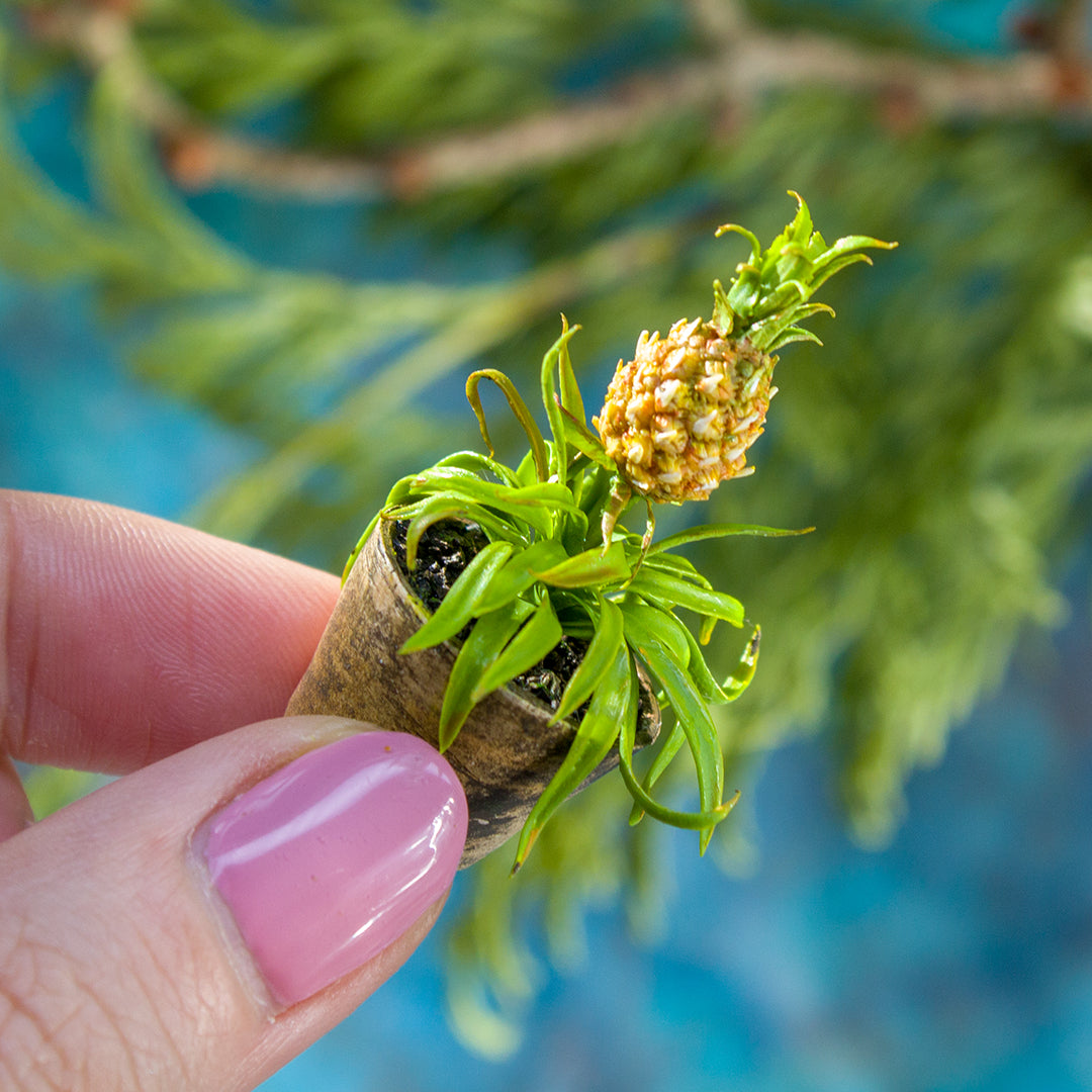 Miniature pineapple plant for dollhouse in 1:12 scale - Rina Vellichor