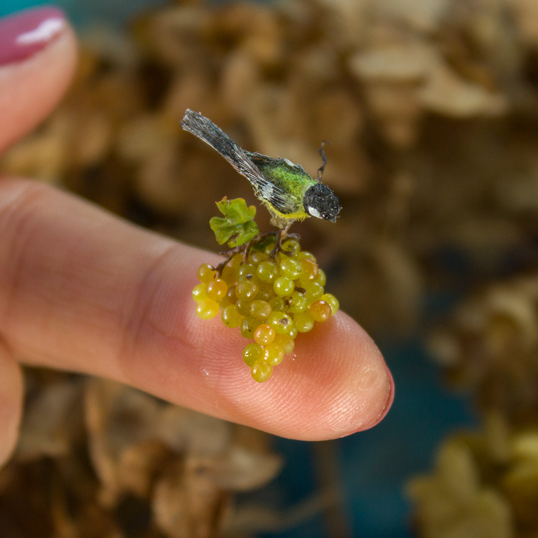 Miniature tit bird on a grape branch for dollhouse in 1:12 scale - Rina Vellichor