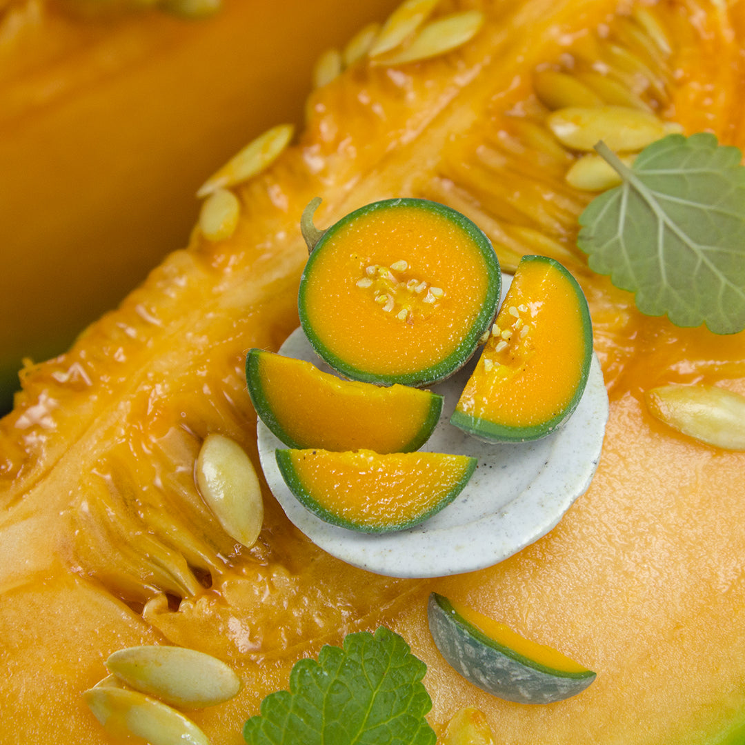 TUTORIAL Miniature cantaloupe with polymer clay | PDF + video