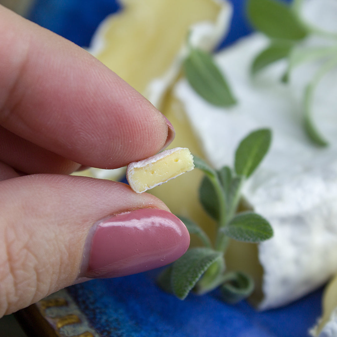 TUTORIAL Miniature Camembert cheese with polymer clay | PDF + video