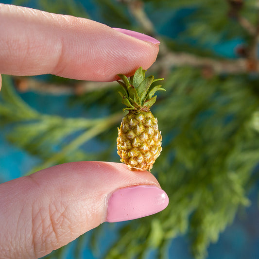 Miniature pineapple for dollhouse in 1:12 scale - Rina Vellichor