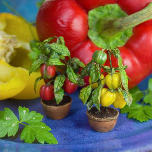 TUTORIAL Miniature pepper plant with polymer clay for 1:12 scale dollhouse | PDF + video