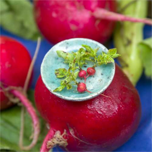 TUTORIAL Miniature radish with polymer clay for 1:12 scale dollhouse | PDF + video