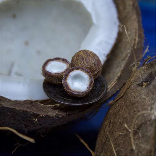 TUTORIAL Miniature coconut with polymer clay | PDF + video