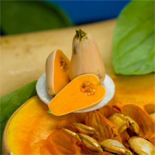 TUTORIAL Miniature bottle pumpkin / miniature butternut squash with polymer clay | PDF + video